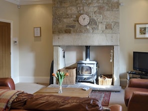 Welcoming living room with wood burner | Wagtail Cottage, Lesbury, near Alnwick