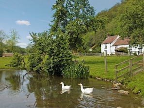 Exterior | Ashberry Cottage, Rievaulx, nr. Helmsley