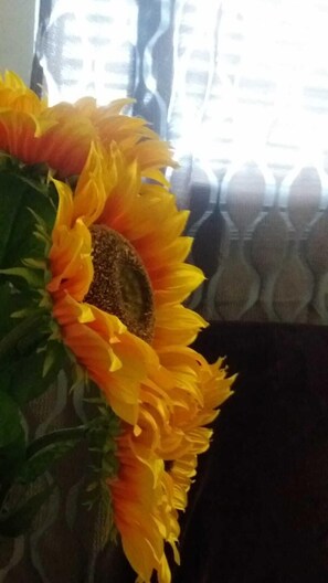 Detalj interiör
