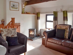 Warming wood-burner style fire in living room | Greystones Cottage, Simonstone near Hawes