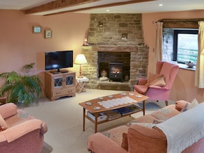 Warm and welcoming living room | Ladycroft Barn, Thornhill, Hope Valley