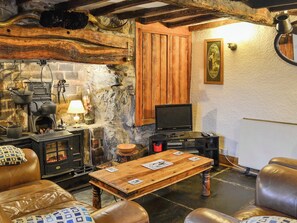 Cosy living room | Hen Hafod, Bala