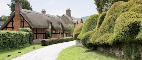 Terrein van de accommodatie