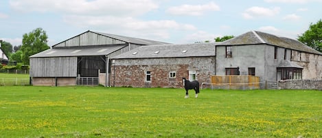 Overnatningsstedets område