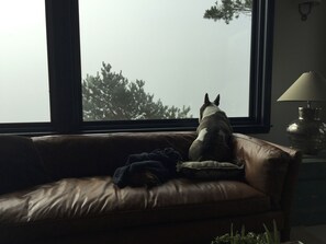 Everyone loves the views from (pet friendly) Jaquish House !
THE GILLS GROUP