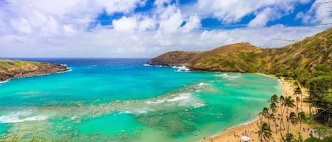 Here's the world famous Hanauma Bay just 2 miles away over the ridge.