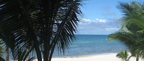 3 steps off the veranda, your toes are in the sand!