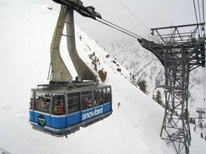 Sne- og skisport