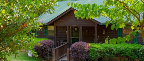 Cozy cabin near Unicoi State Park