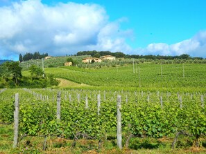 Terrain de l’hébergement 