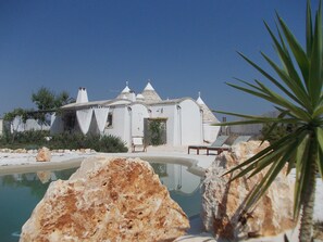 view from the pool