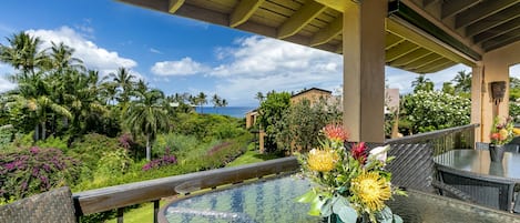 View from the private lanai