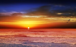 Spectacular Sunsets