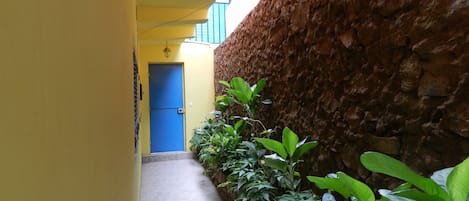 Garden Inside - View of the Entrance Door