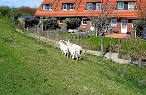 Boendeområde