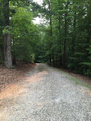 Long inviting driveway