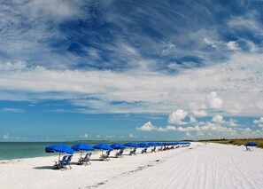 Honeymoon Island Beach Awaits You!  Ooh so Close!