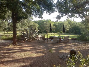 oh my. afternoon view over the pasture into the orchard - great creek view  