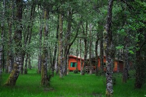 Envolvência dos Bungalows