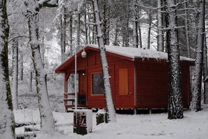 Bungalow com Neve