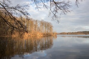 Järvi