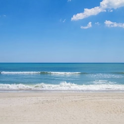 Take a dip in the beauiful ocean