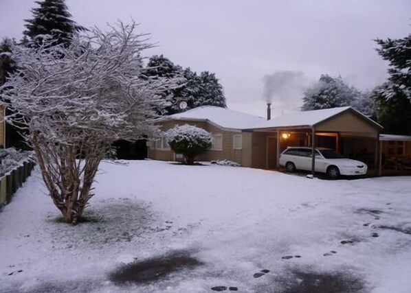 winter 2010