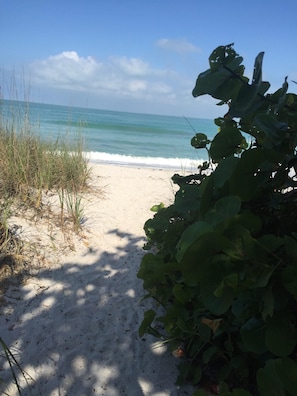 Walkway to public beach 