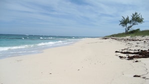 Our miles-long deserted pink sand beach.