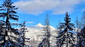 La Vue depuis le Séjour...
On est bien à la Montagne !!