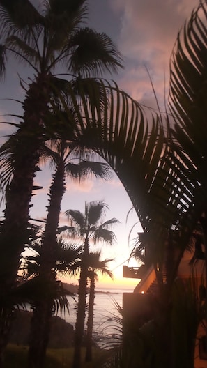 View from Oversized Patio overlooking the Sea of Cortez