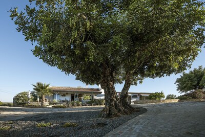 Gemütliches familienfreundliches Ferienhaus mit vielen Extras