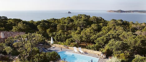 La piscine en pleine nature vue depuis la terrasse