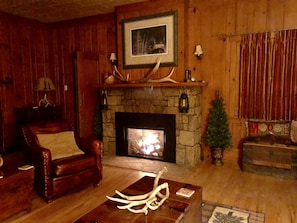 Living room with gas fireplace in winter.