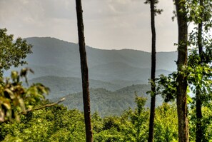 Extraordinary Year Round View of Rich Mountain Wilderness.