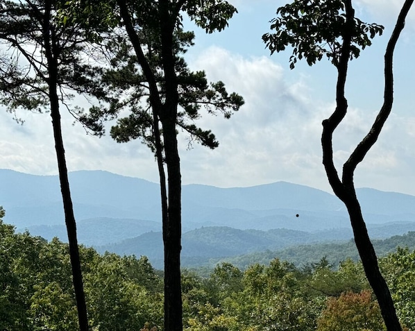 Extraordinary Year-Round View