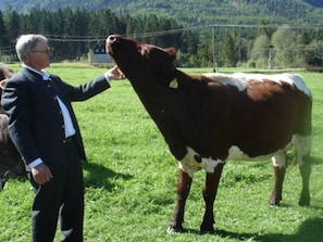 Övrigt