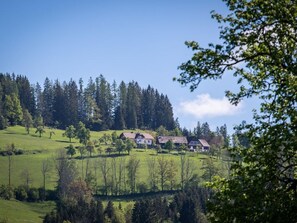 Pension Moosgierler