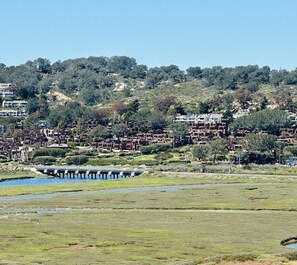 Nestled in the hills within the Torrey Pines Reserve... Gorgeous Sea Point!