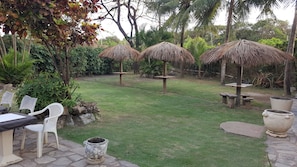 Garden with 3 coconut shades  and surrounded with coconut trees and Mango trees