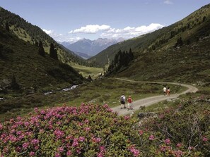 Schwarzerhof