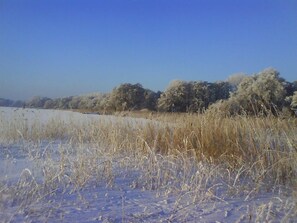 Ferienwohnungen Meeres-Brise - Brunnenweg 14