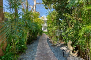 Lush walkway to house