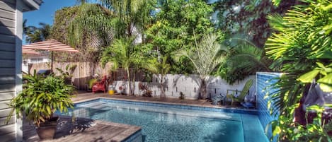 Lush backyard area