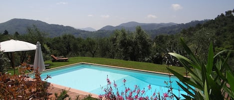 Piscine en plein paysage soufflant