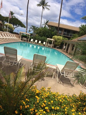 Tired of the beach? Time to hit the pool!