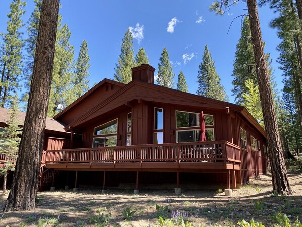 Exterior:  Large deck with BBQ and patio furniture.