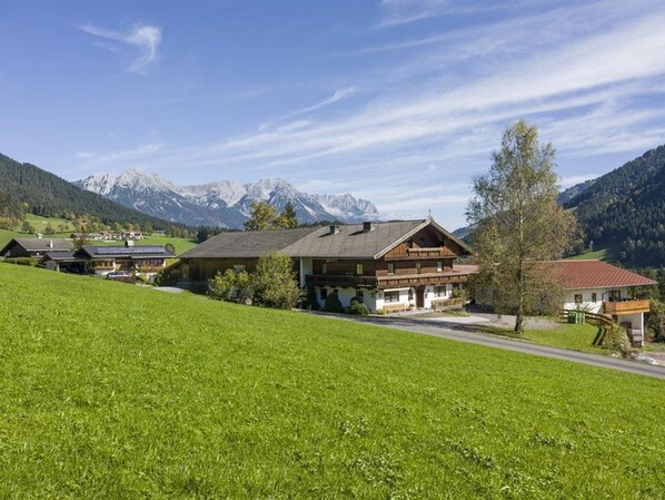 Exteriör