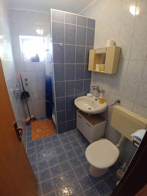 A4(2): bathroom with toilet
