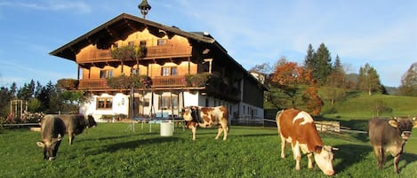 Ferienwohnung Hirschbühel